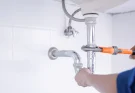 popular plumber